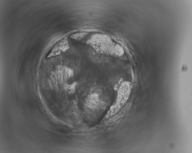X0000116480145201001201349