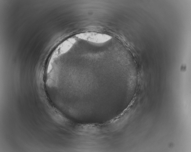 X0000116480146201001201349
