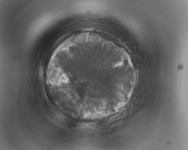X0000116480147201001201349