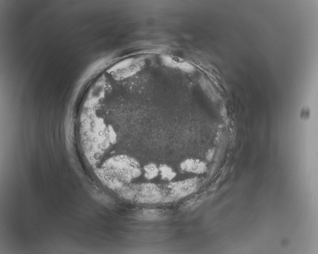 X0000116480149201001201349