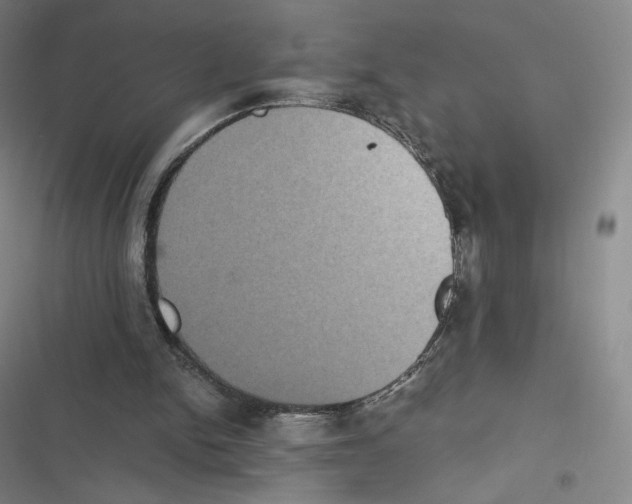 X0000116480150201001201349