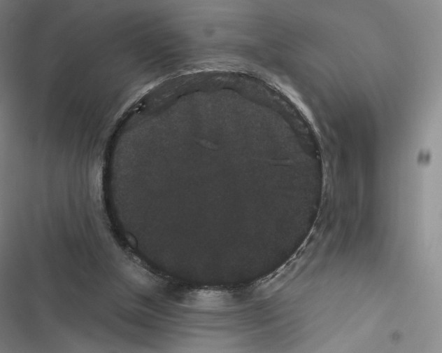 X0000116480154201001201349