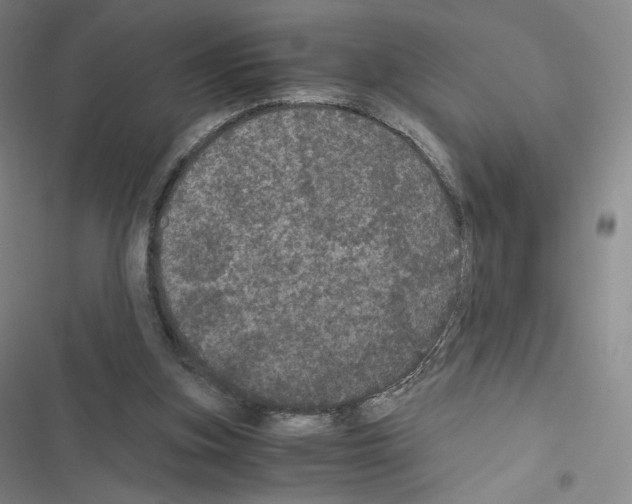 X0000116480155201001201349