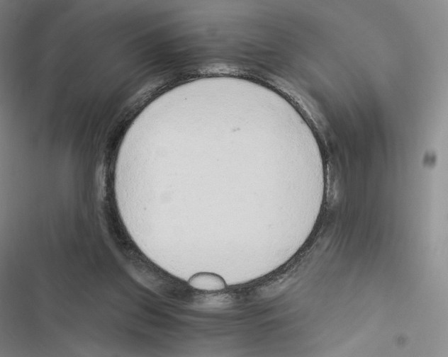 X0000116480157201001201349