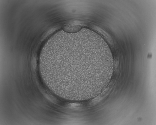 X0000116480158201001201349