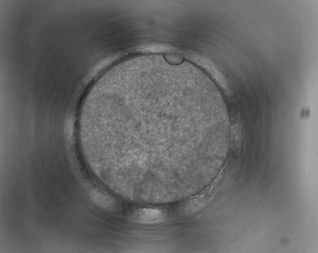 X0000116480159201001201349