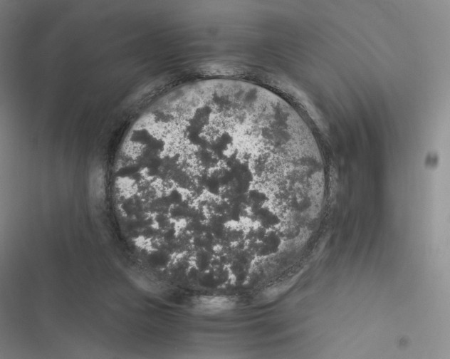 X0000116480161201001201349