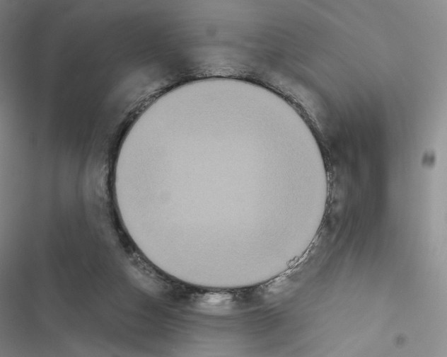 X0000116480162201001201350