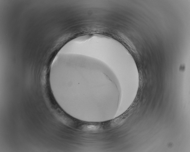 X0000116480163201001201350