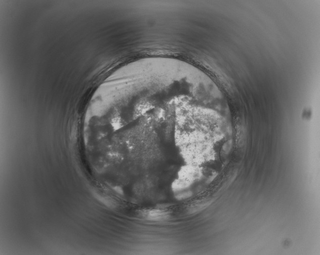 X0000116480165201001201350