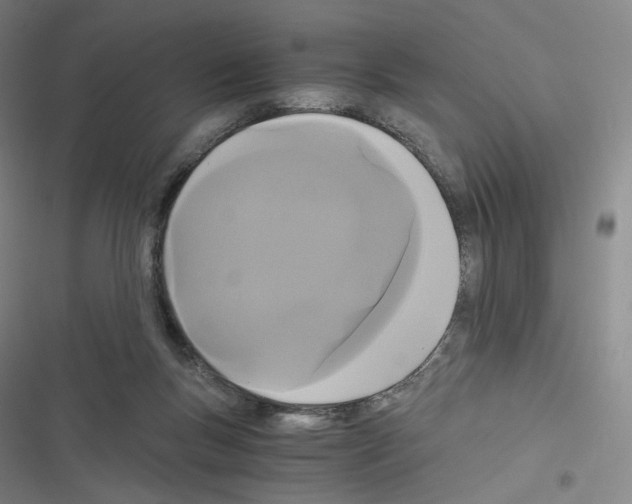 X0000116480167201001201350