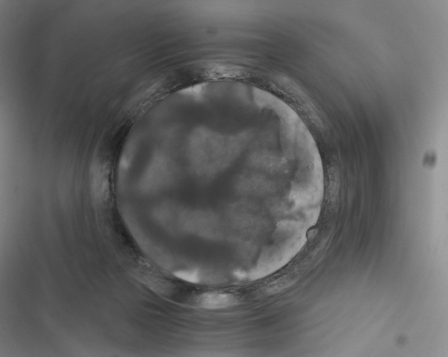 X0000116480169201001201350