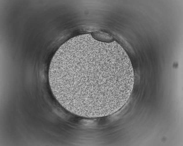 X0000116480170201001201350