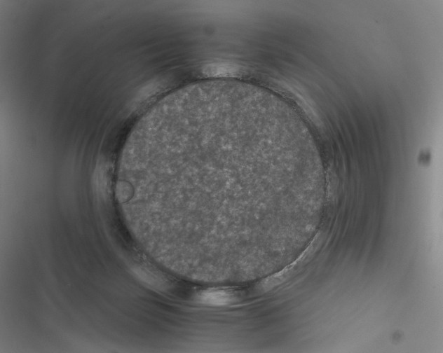 X0000116480171201001201350