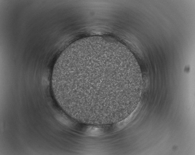 X0000116480174201001201350
