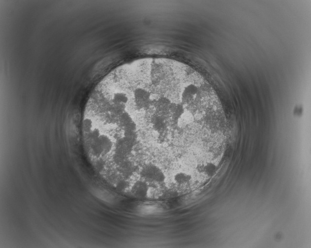 X0000116480175201001201350