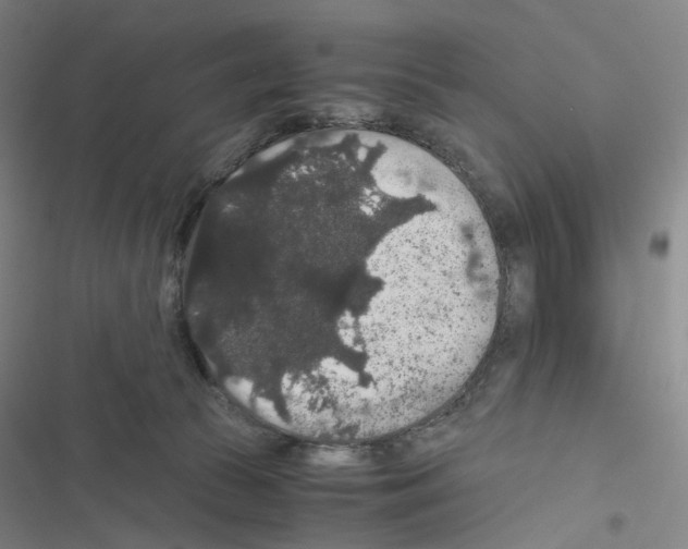 X0000116480177201001201350