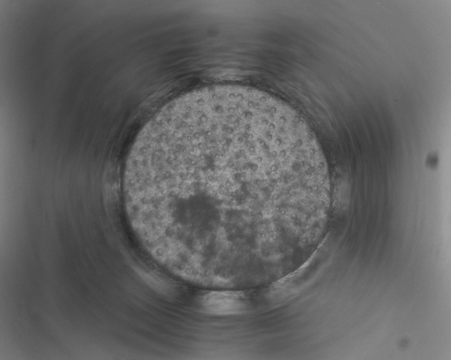 X0000116480179201001201350
