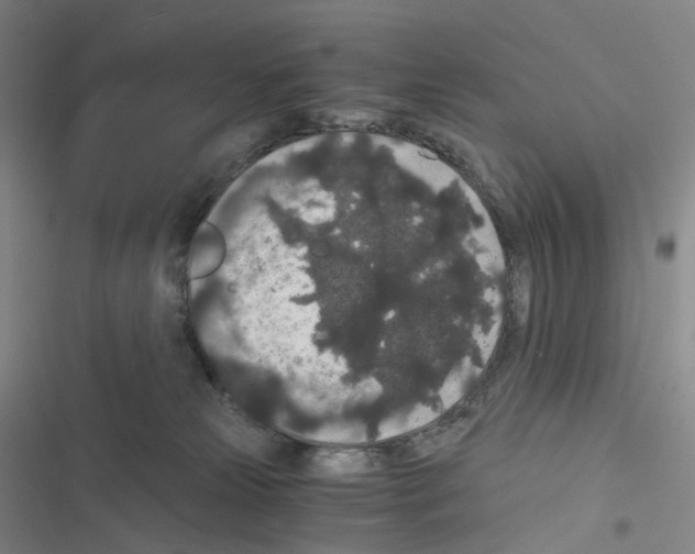 X0000116480181201001201350