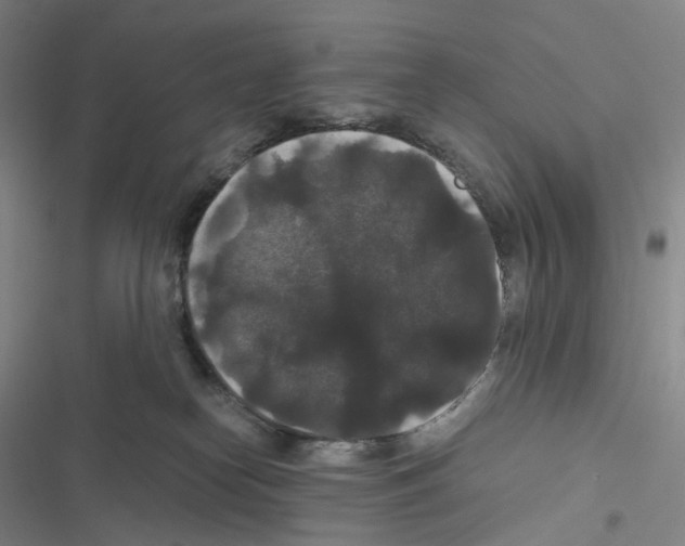 X0000116480182201001201350