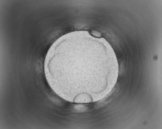 X0000116480183201001201350