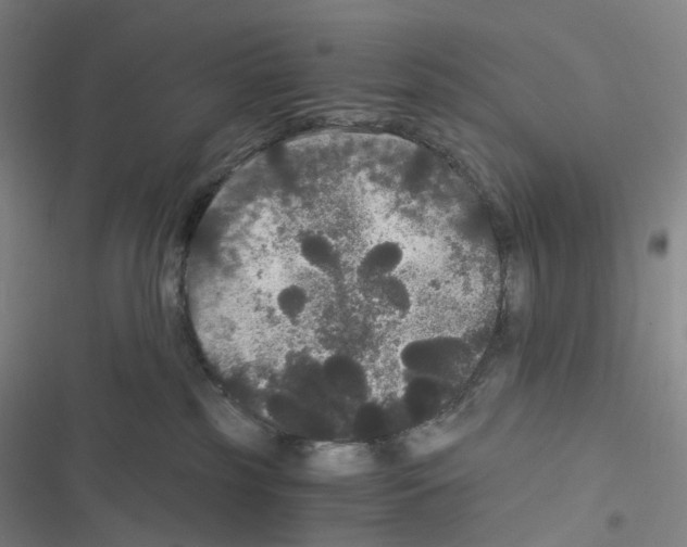 X0000116480185201001201350