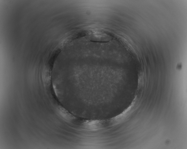 X0000116480186201001201350