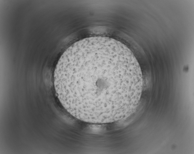 X0000116480187201001201350