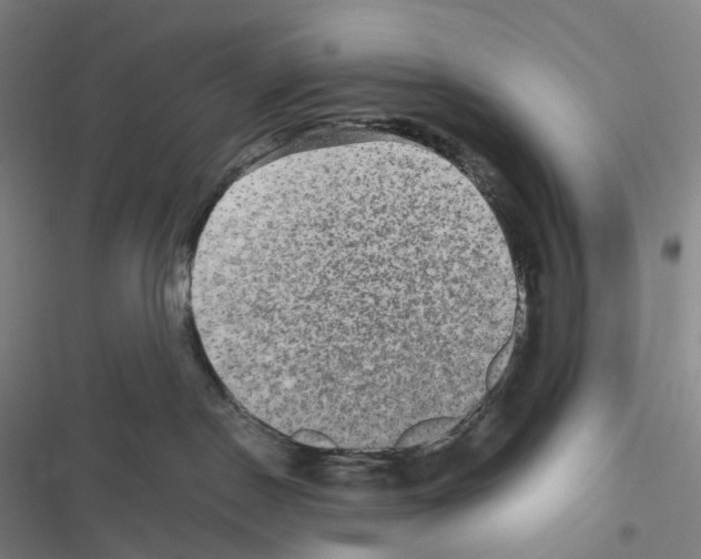 X0000116480190201001201350