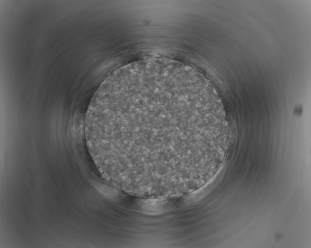 X0000116480191201001201350