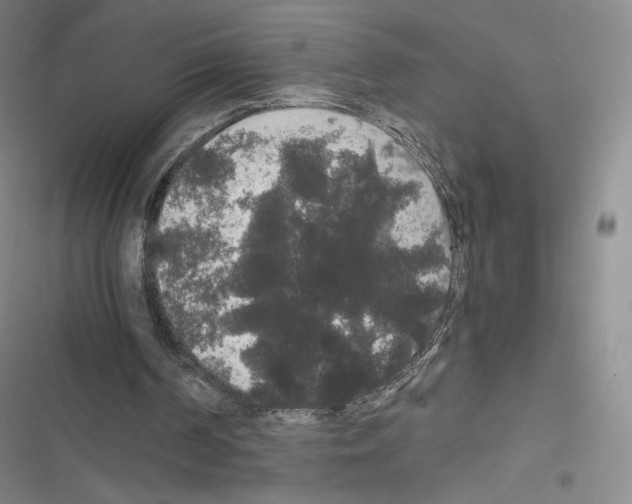 X0000116480194201001201349