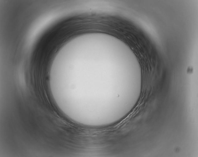 X0000116480195201001201349