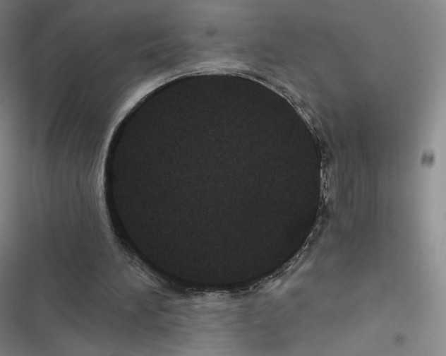 X0000116480196201001201349
