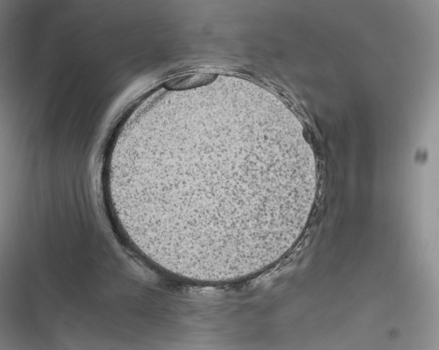 X0000116480197201001201349