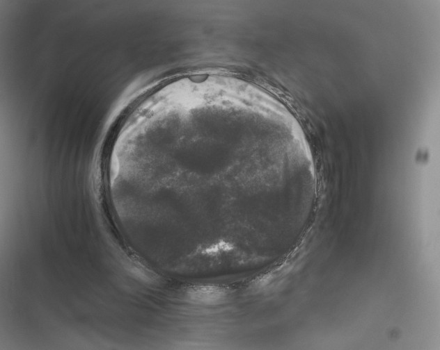 X0000116480198201001201349