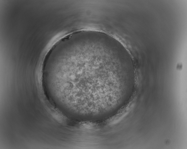 X0000116480199201001201349