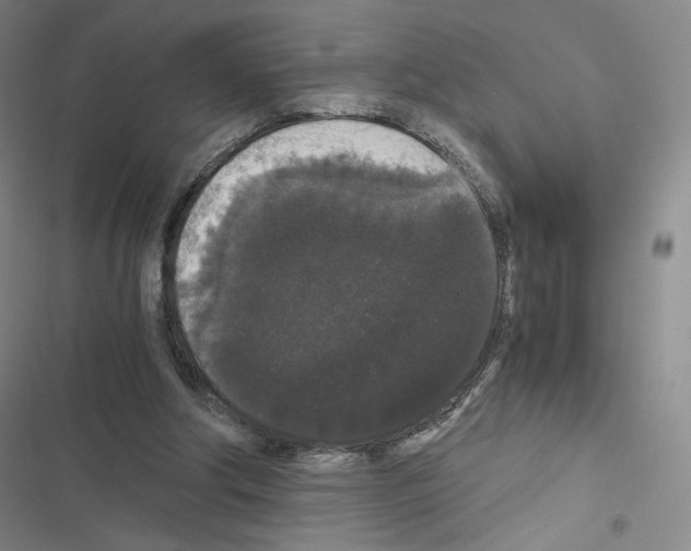X0000116480202201001201349