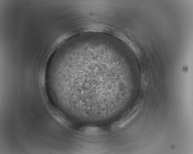 X0000116480203201001201349