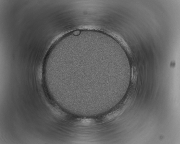 X0000116480204201001201349