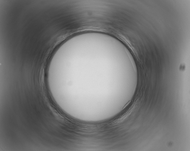 X0000116480205201001201349
