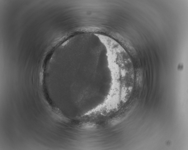 X0000116480206201001201349