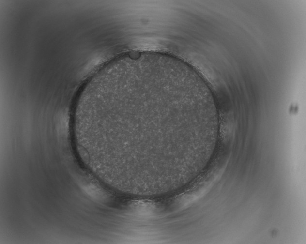 X0000116480207201001201349