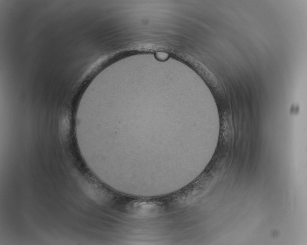 X0000116480208201001201349