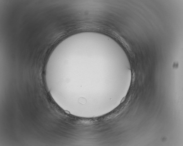 X0000116480209201001201349