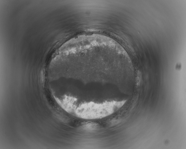 X0000116480210201001201349