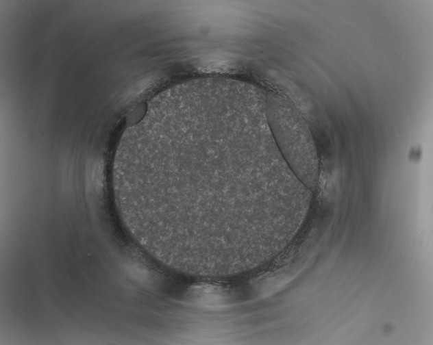 X0000116480211201001201349