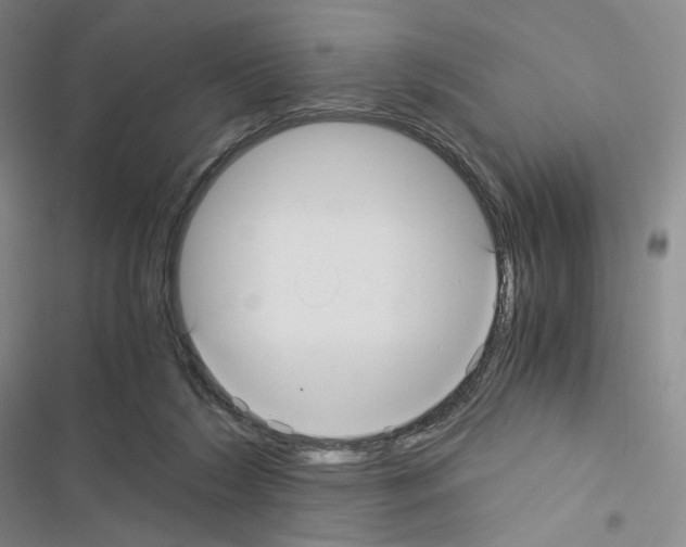 X0000116480212201001201349