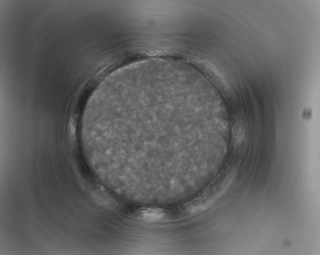 X0000116480214201001201349