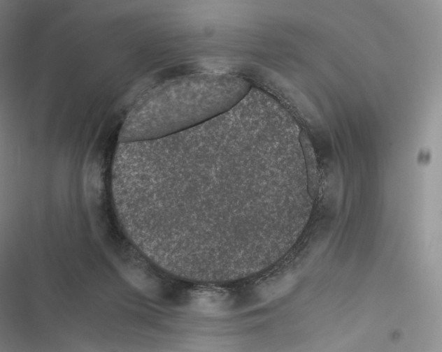 X0000116480215201001201349