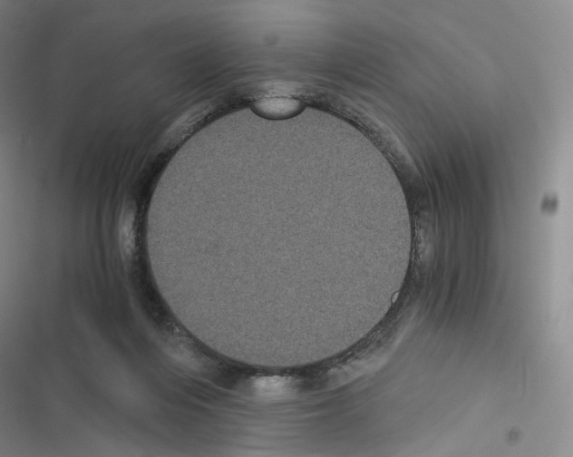 X0000116480216201001201349